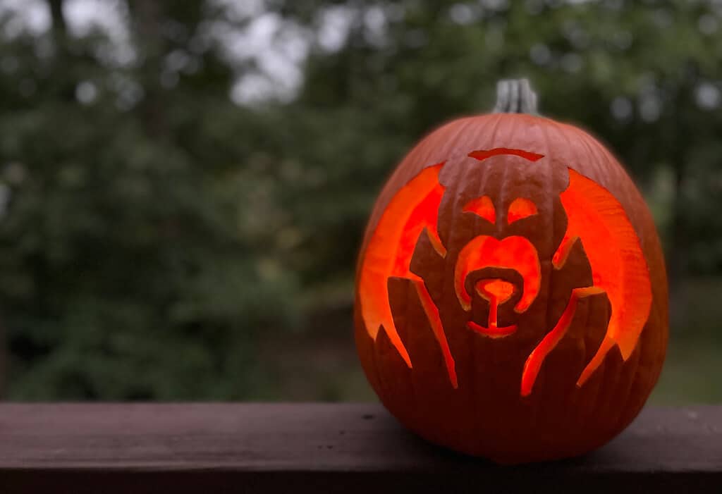 A carved pumpkin with a bear head on it
