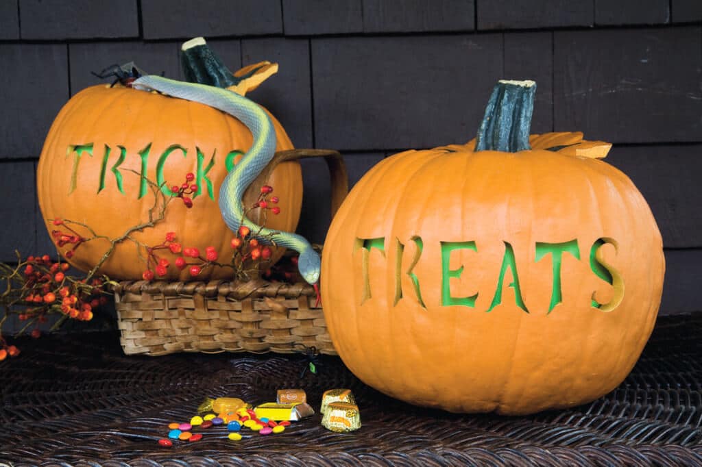 Trick or Treat? pumpkin carving templates