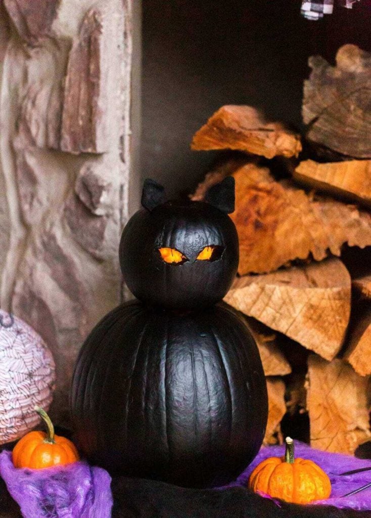 Spooky Black Cat