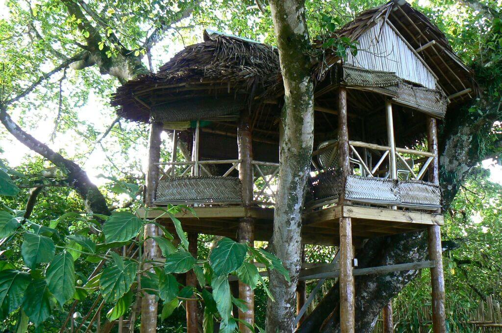 Mangrove Homes: Ecuador