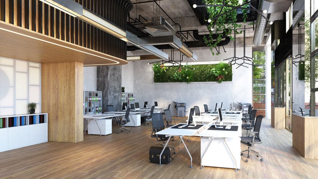 How to Achieve a Biophilic Office