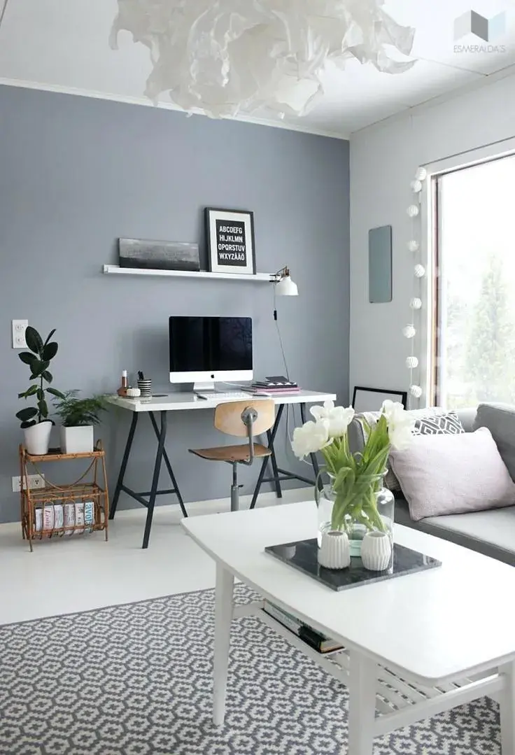 two colour combination for living room