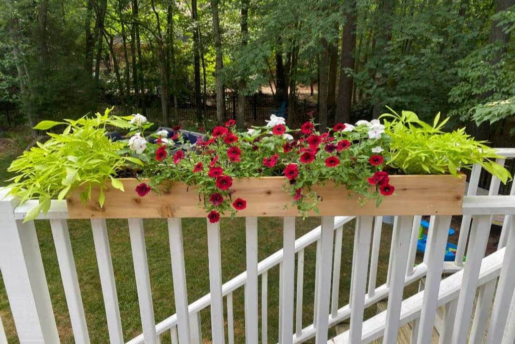 Flower Boxes on Railings idea