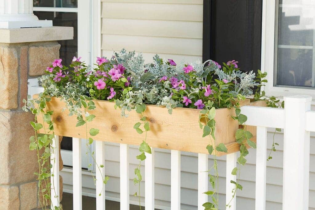 Flower Boxes on Railings design idea