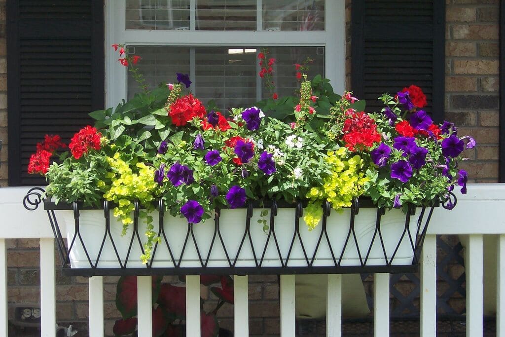 A window box filled with lots of colorful flowers
