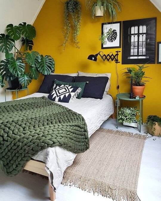 colors that go with green: Green and Yellow