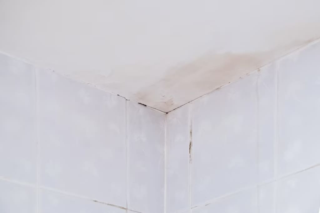 mold bathroom ceiling