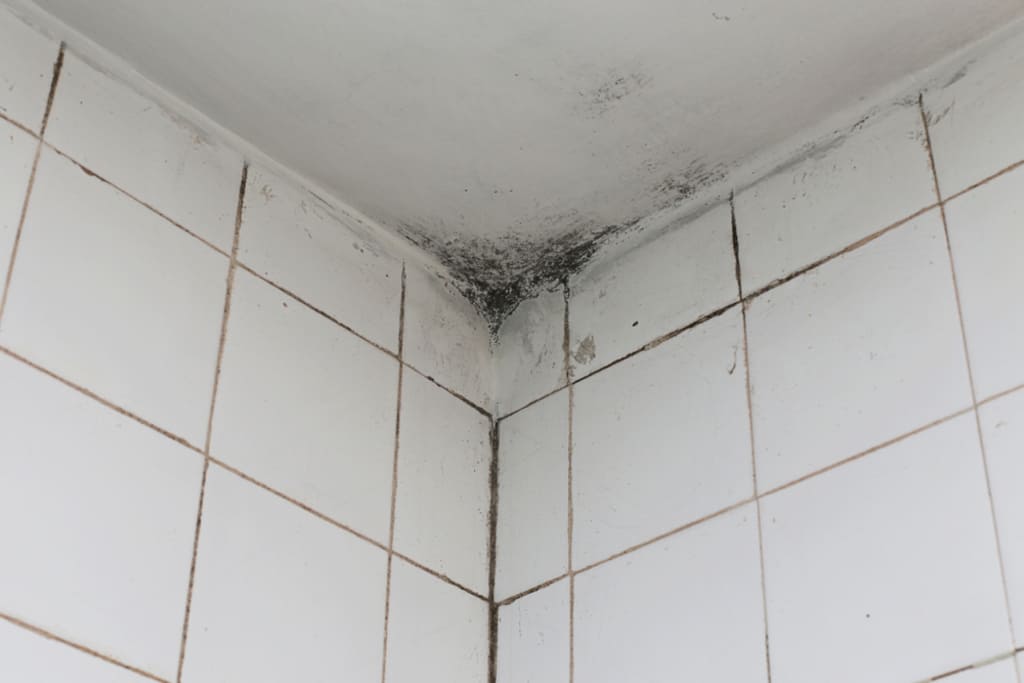 mold bathroom ceiling