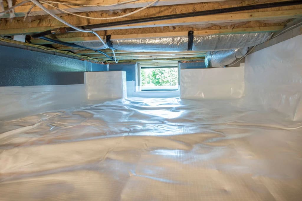 Professional Crawl Space Cleanup