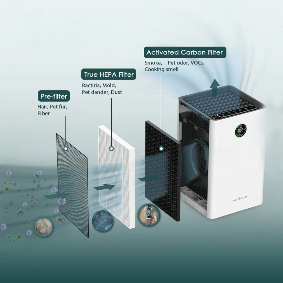 Best Air Purifiers in home