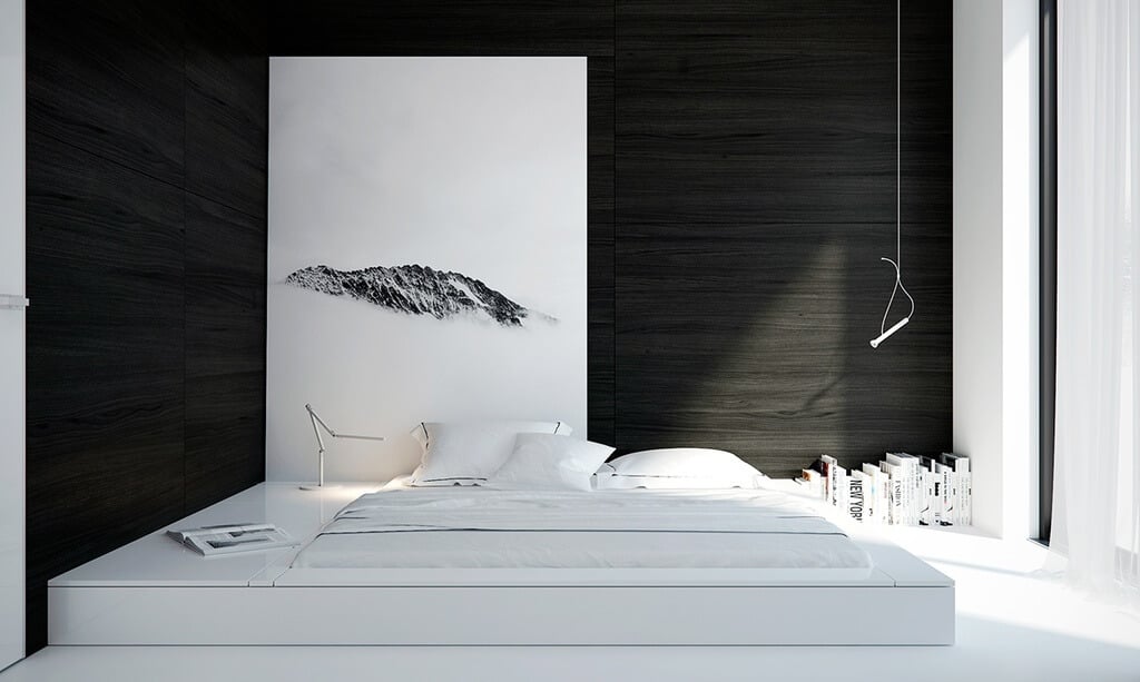 Black and White Bedroom Color