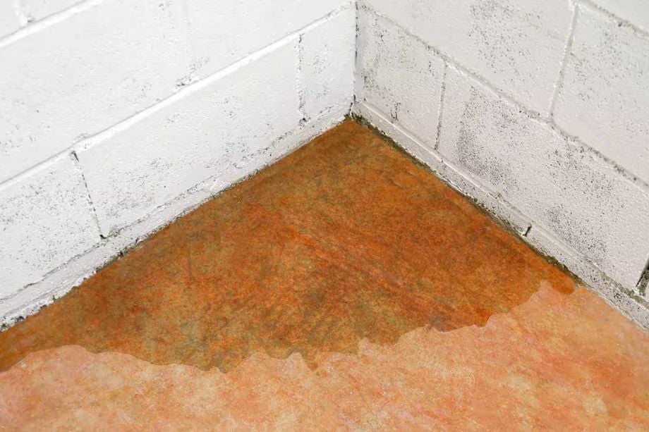 Basement Water Leaks though floor