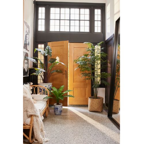 Indoor Plants in Entryway